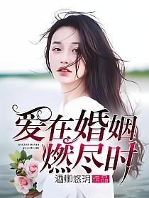 爱在婚姻燃尽时小说全文免费阅读