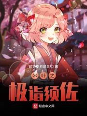 木叶之极诣须佐精校下载