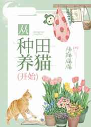 从种田养猫开始TXT百度云