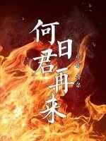 何日君再来小说阿蛮