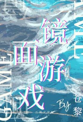 镜面游戏
