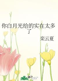 你白月光给的实在太多了