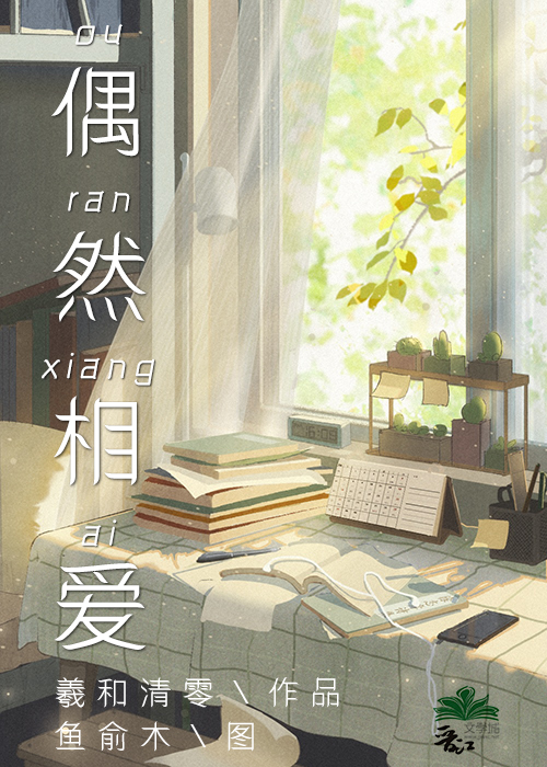 偶然相爱小说主角家庭背景