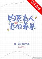 钓系美人恋综养崽有几对cp