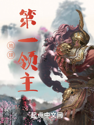地球第一领主 小说