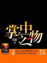 掌中之物何妍傅慎行小说
