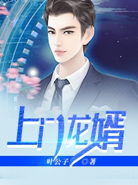 上门龙婿叶辰完整版免费阅读全文