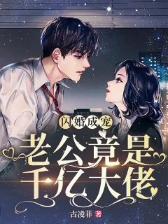 闪婚亿万大佬小说