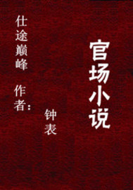 仕途巅峰主角王天成小说在线阅读