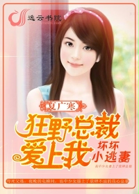 狂野总裁爱上我:坏坏小逃妻全文阅读