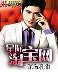 星际淘金路小说