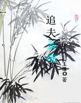 追夫不易娇妻叹气全集