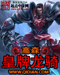 皇牌龙骑txt全集下载