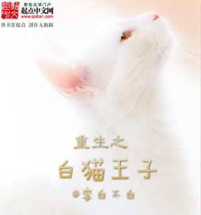 白猫王妃小说