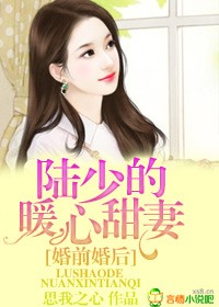 婚前婚后陆少的暖心甜妻小说