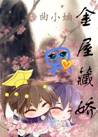 金屋藏娇男士项目