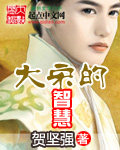 大宋的智慧有声小说免费听