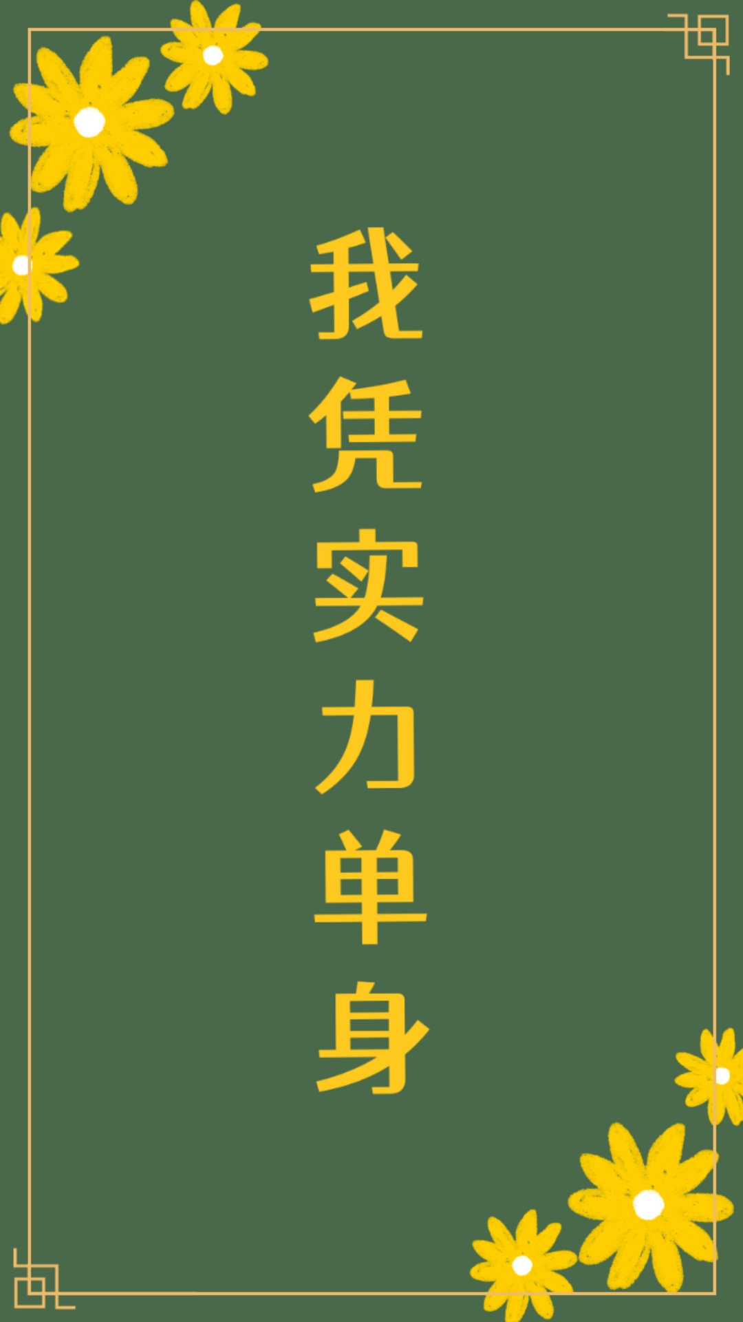 我凭实力单身电视剧