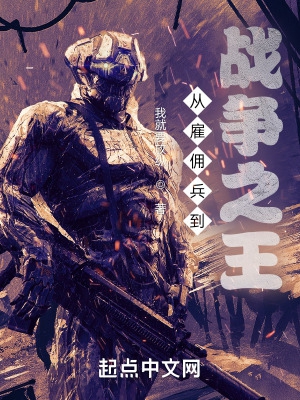从雇佣兵到战争之王 全集txt下载