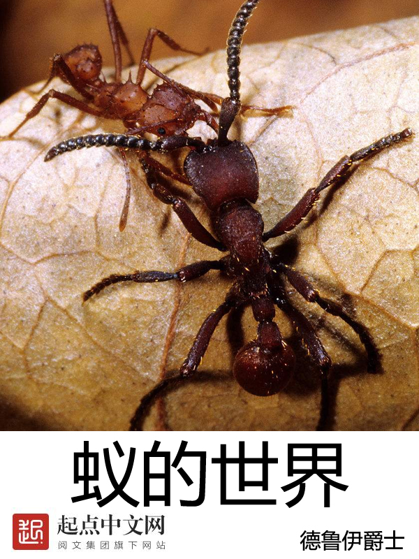 蚁的世界txt免费阅读全文