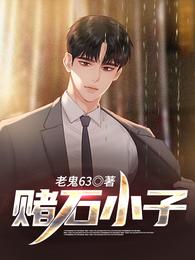 赌石小子txt下载老鬼63