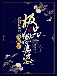 我成了极品恶婆婆TXT下载
