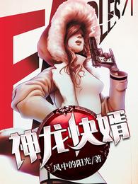 神龙快婿电视剧20-40集