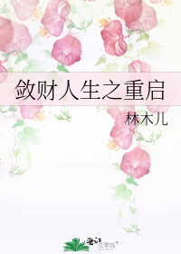 敛财人生之重启林木儿小说