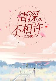 情深不相许小说网页免费阅读