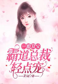 霸道总裁一胎俩宝