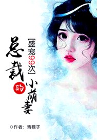 总裁的99次盛宠小说