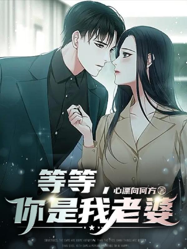 老婆的初恋回来了类型的小说