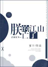 朕的江山亡了小说免费阅读