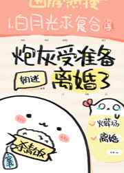 炮灰受准备离婚了小说全文免费阅读