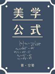 美学公式by空菊免费阅读