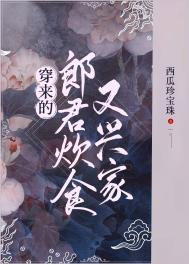 穿来的郎君炊食又兴家txt
