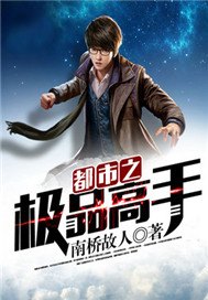 都市之极品高手小说