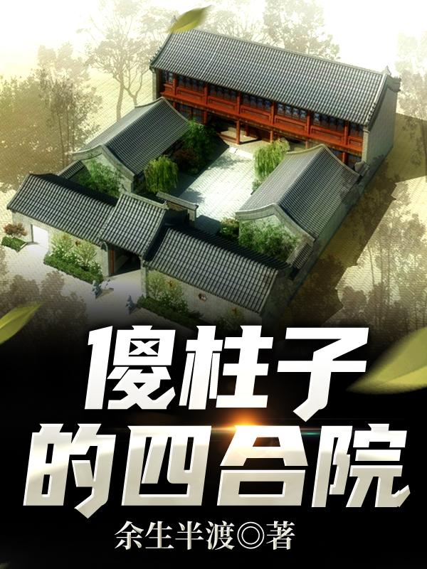 电视连续剧傻柱四合院