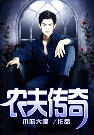 农夫传奇小说全文
