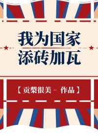 我为国家添砖加瓦txt下载