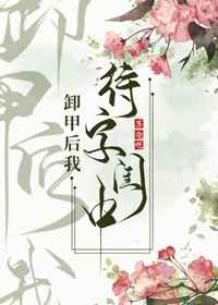 卸甲后我待字闺中讲的是什么