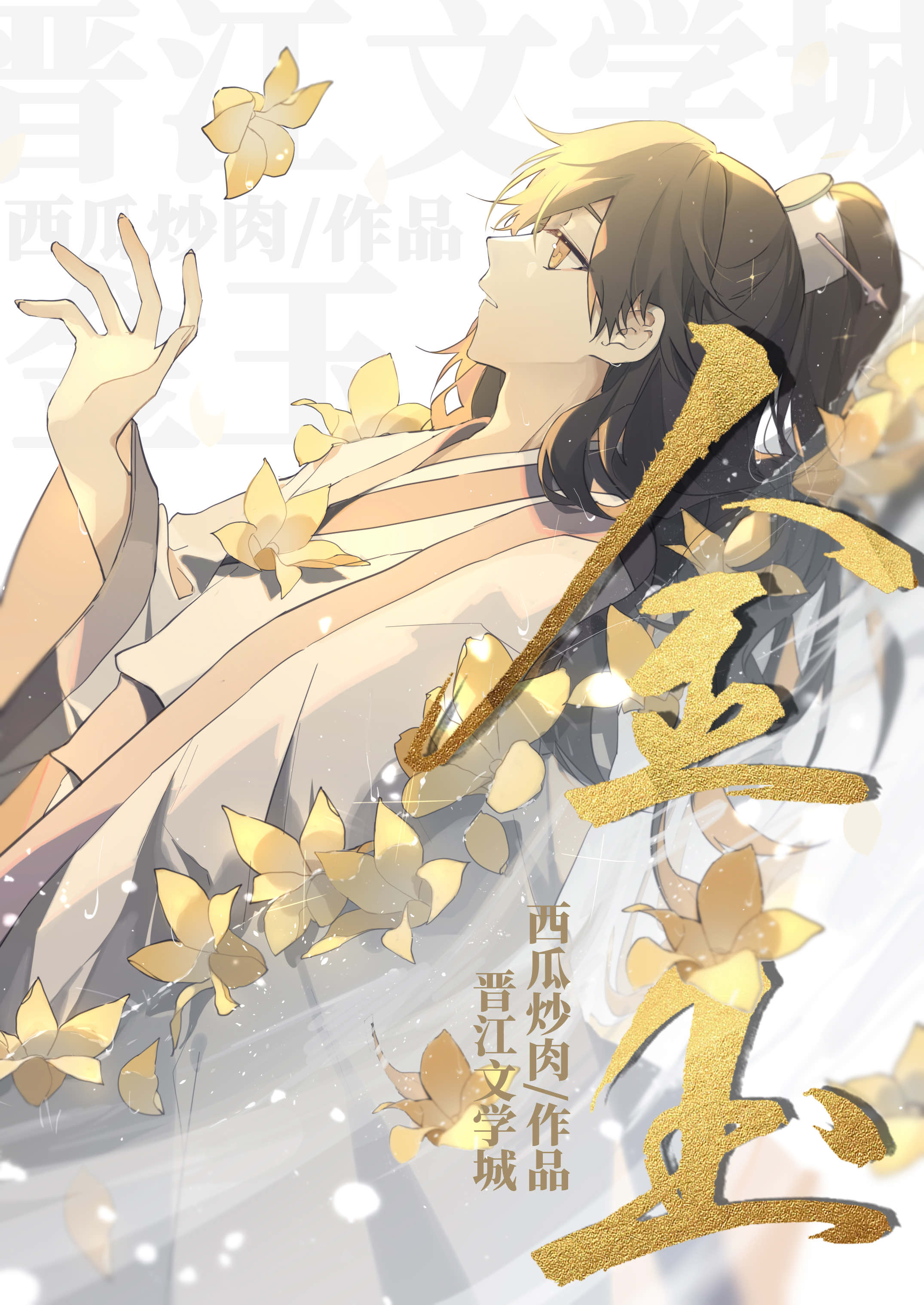 金玉重生小说