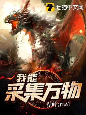 小说我能采集万物