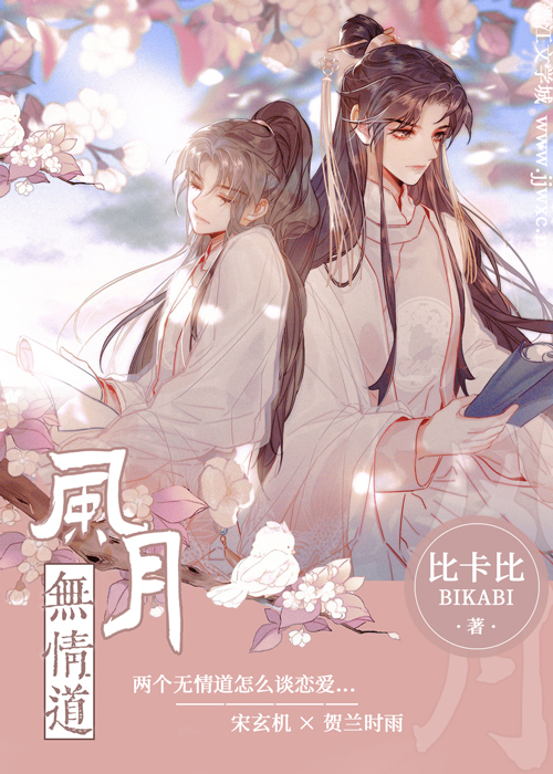 风月无边是什么意思